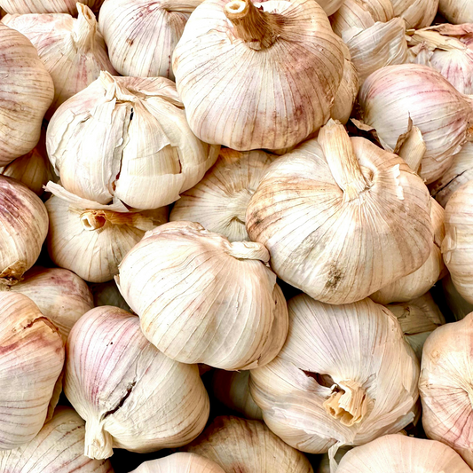 Allium sativum (Garlic Juice) Tincture 100ml- 20% Off While Stocks Last