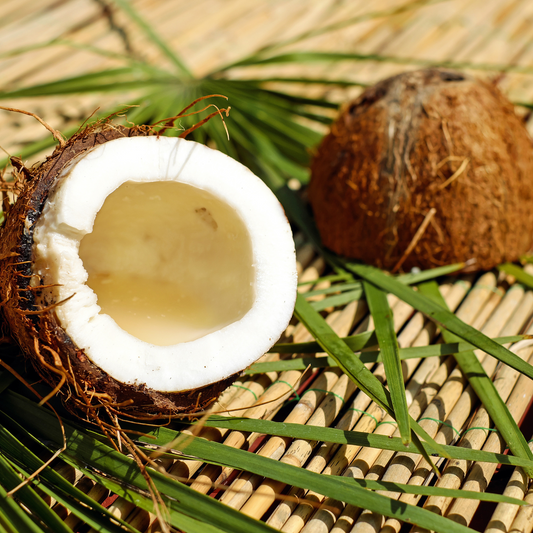 Cocos nucifera (Coconut) Oil