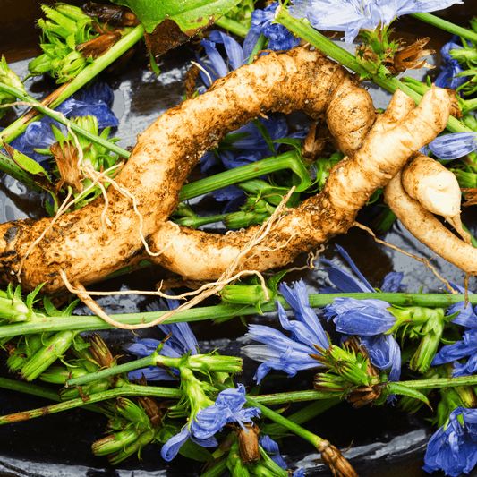 Slippery Elm & Marshmallow Root Powder - DrClareApothecary