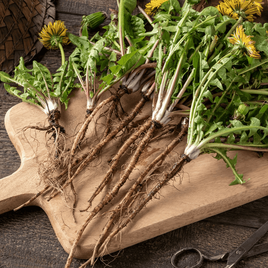 Roasted Dandelion Coffee  and Cacoa Nibs 100g