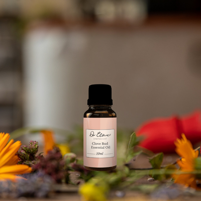 Clove Bud Essential Oil 10 ml, , Essential Oils, clove-bud-essential-oil-10-ml, [