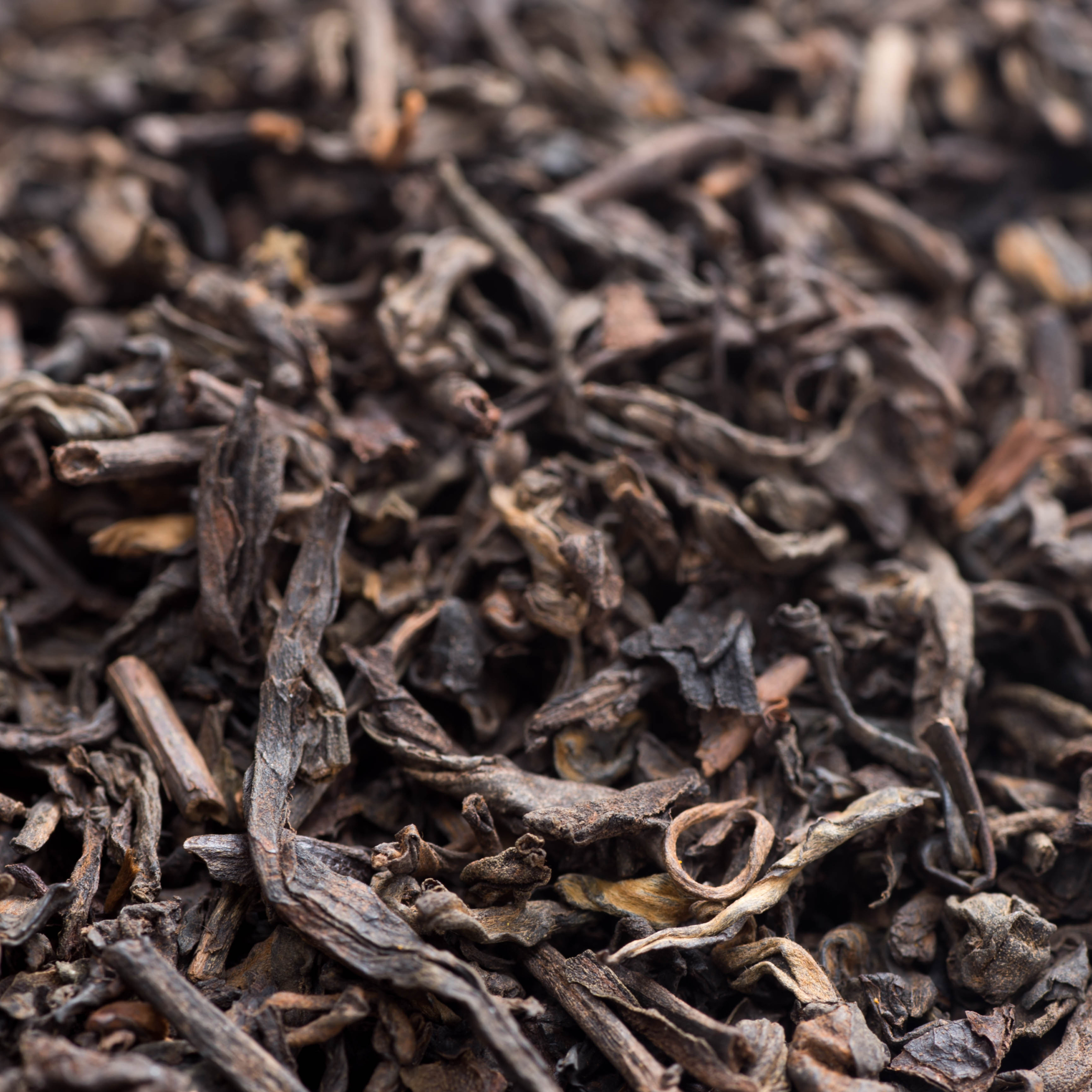 Camellia sinensis (Pu-erh) Tea – 100g - €7.50- intro special 10% off 100g