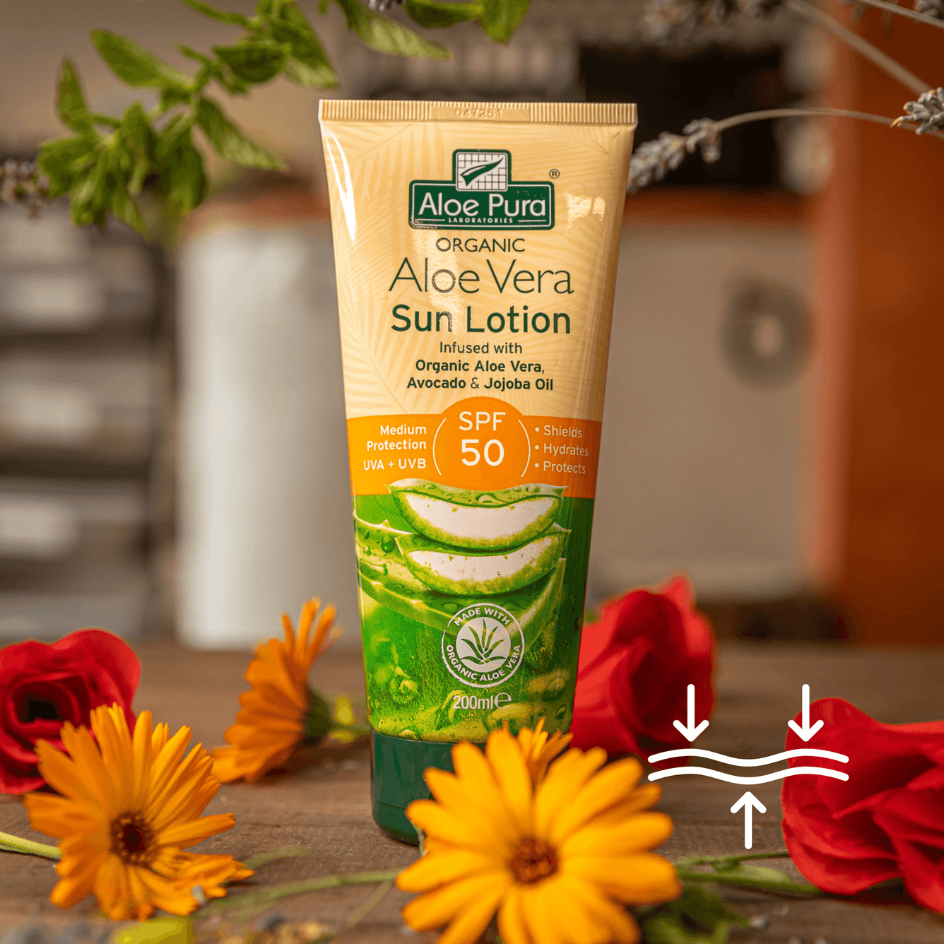 Organic Aloe Vera  Sun Lotion SPF 50 & FREE Aloe Vera Lotion*