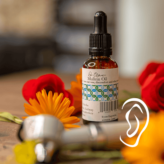 Mullien Oil Drops - DrClareApothecary