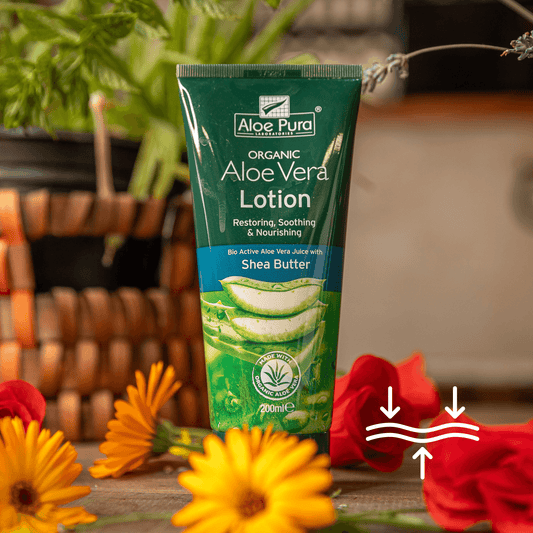Organic Aloe Vera Lotion with Shea Butter - DrClareApothecary