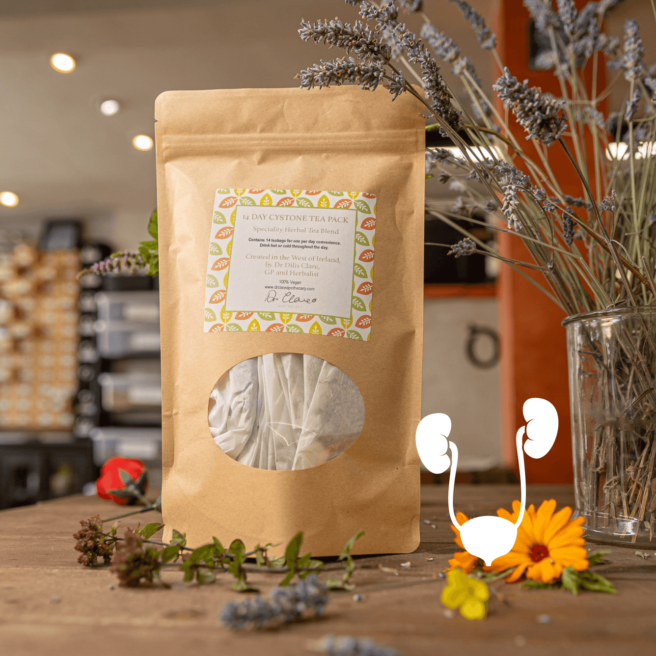 CYSTONE TEABAGS - DrClareApothecary
