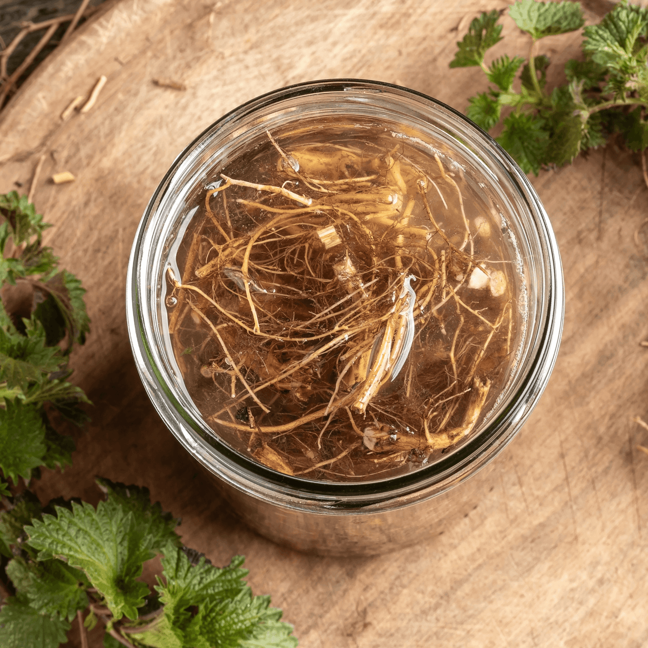 Urtica dioica (rad) (Nettle root) Tincture - DrClareApothecary